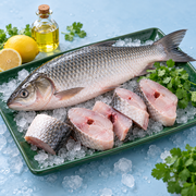 Bata Fish