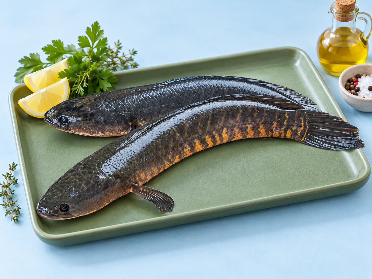 River Sole